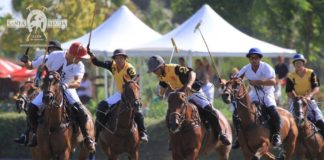 polo-king-sports