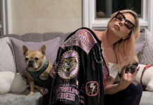 LADY GAGA’S DOGNAPPING ORDEAL OVER