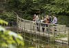 EXPLORE SILENT POOL DISTILLERS