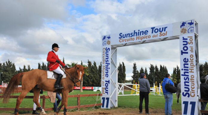 THE SUNSHINE TOUR