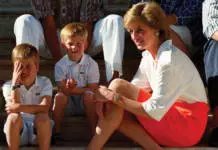 PRINCES PROTECT DIANA Princes William and Harry are set to talk extensively about their beloved mother Diana in a new documentary to mark the 20th anniversary of her death on NBC in the US