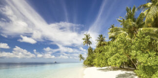 SUMMER HOLIDAYS ARE (SORT OF) COMING