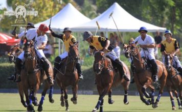 polo-king-sports