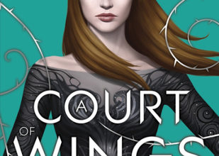 SARAH J MAAS: A COURT OF WINGS AND RUIN