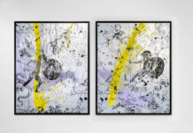 SENSATIONAL ‘NEW MEDIA’ ARTIST JOSEPH KLIBANSKY