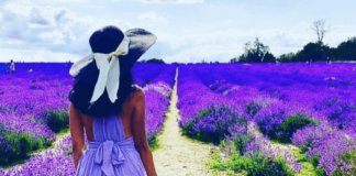 7 NATURAL WONDERS OF SURREY