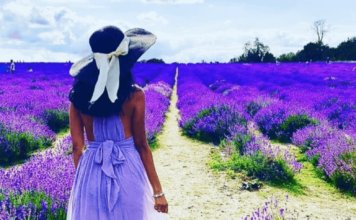 7 NATURAL WONDERS OF SURREY