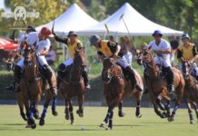 POLO- THE KING OF SPORTS polo-king-sports