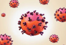 SURREY CLOVID PIC A HIT WITH JUDGES