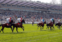 SANDOWN PARK NEW VACCINATION HUB