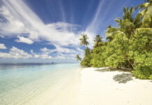 SUMMER HOLIDAYS ARE (SORT OF) COMING