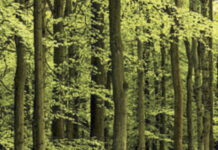 SCENIC SURREY HOTSPOTS