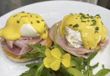 THE TERRACE EATERY
