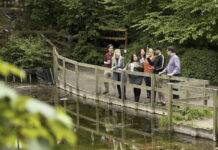 EXPLORE SILENT POOL DISTILLERS