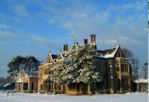 FESTIVE FUN IN SURREY