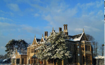 FESTIVE FUN IN SURREY