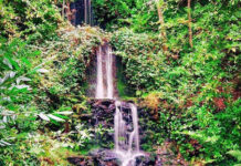 7 WONDERS OF SURREY