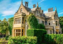 FOXHILLS XMAS LINE-UP REVEALED