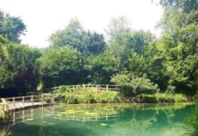 SILENT POOL & JO MALONE LONDON XMAS SHOPPING EVENT