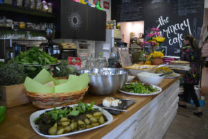 O&A THE FARMACY