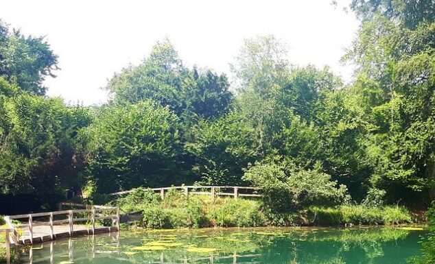 5 SURREY SCENIC SPOTS